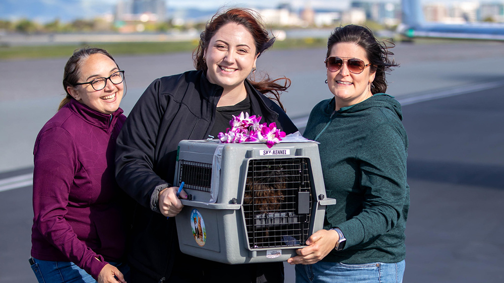 VS-Photograph_20240426_GFL_HI-CA_Unloading_002_©HumaneSocietySiliconValley copy